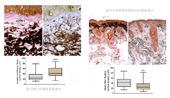 1661734772891628.png image.png