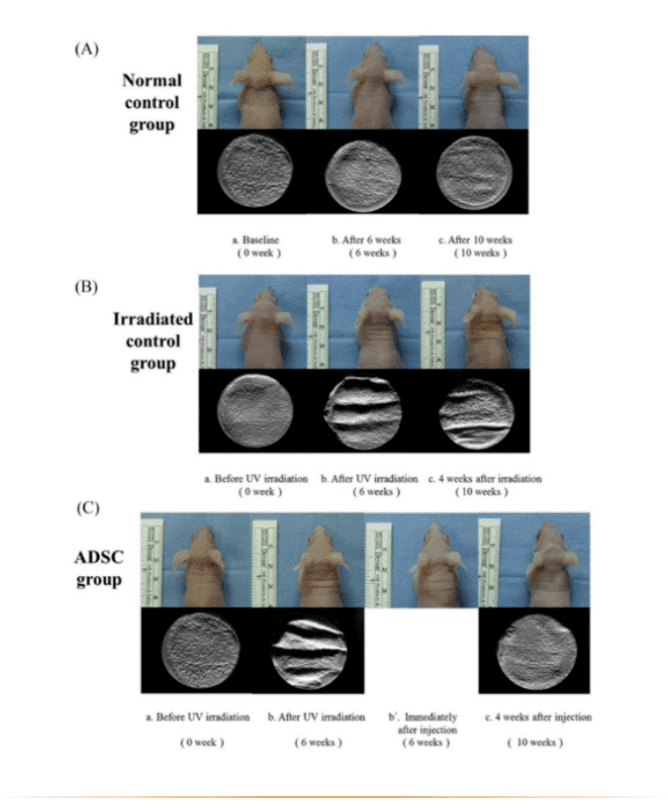 1661734791474318.png image.png