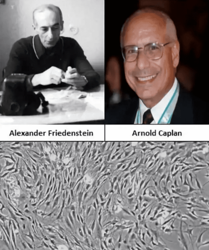 國外國內(nèi)間充質(zhì)干細(xì)胞藥物知多少