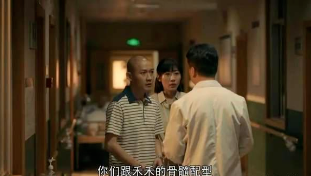 你了解干細(xì)胞配型嗎？一起探索其中的奧秘吧！