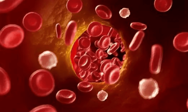 1661750867178588.png image.png