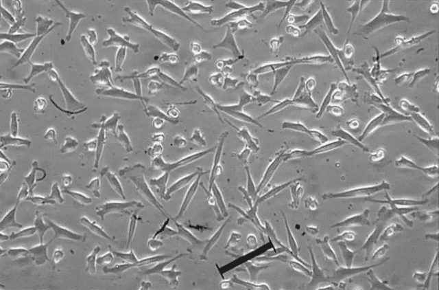 1661751058171839.png image.png