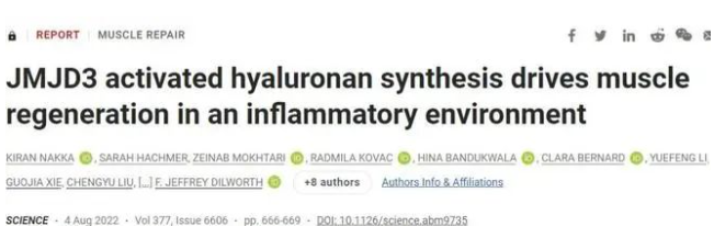 1661751698205408.png image.png