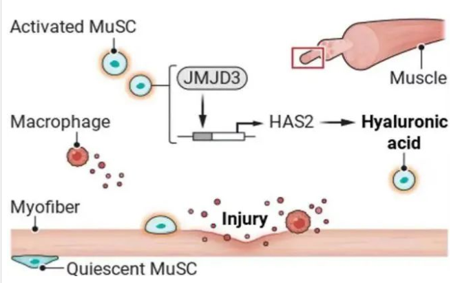 1661751705135551.png image.png