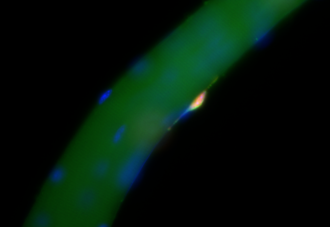 1661751713903639.png image.png