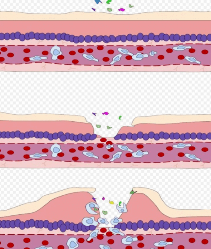 1661751871163541.png image.png