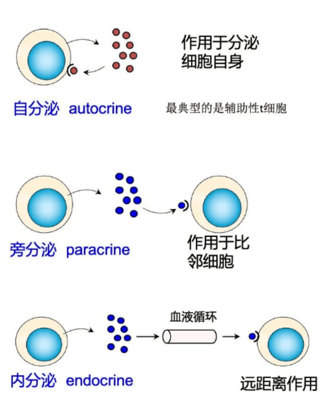 1661751883231504.png image.png