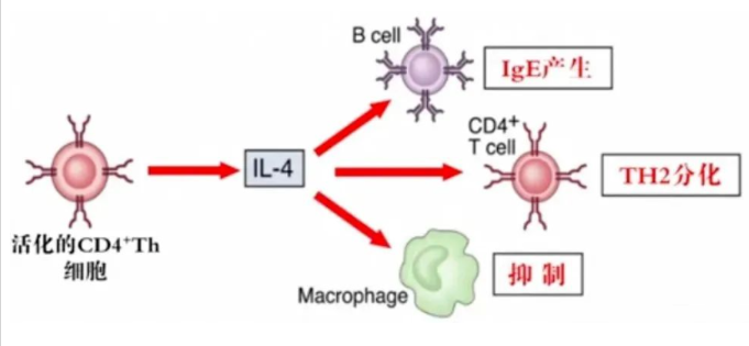 1661751911126747.png image.png