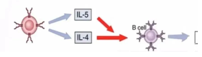 1661751920209048.png image.png