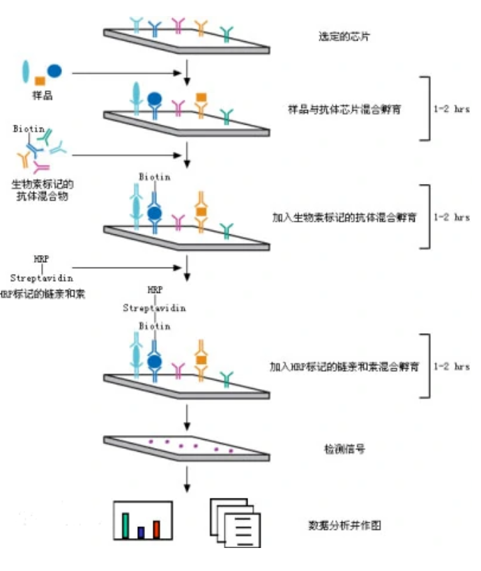 1661751975198252.png image.png