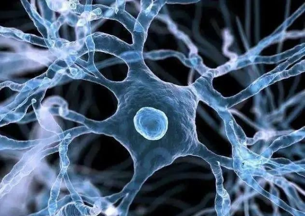 1667183029205702.png 1667183024303.png