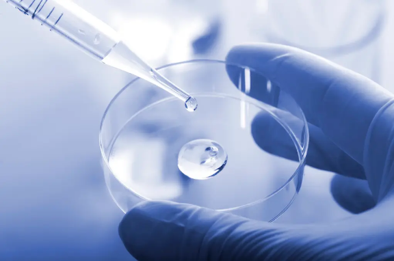 1669863737117734.png 1669598473580.png