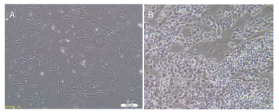 1669864053198520.png 微信圖片_20221126111011.png