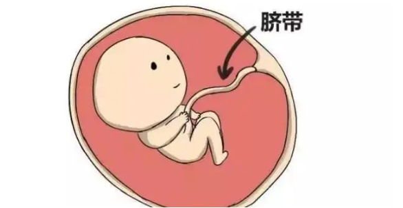 1669864332487270.png 1669603777125.png