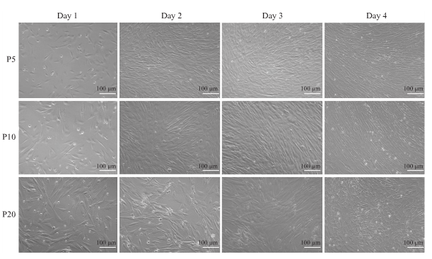 1669864342874183.png 微信圖片_20221126110908.png