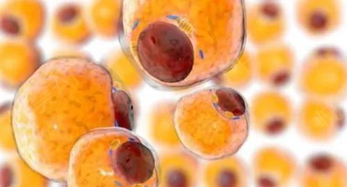 1669864543126512.png 1669604566191.png