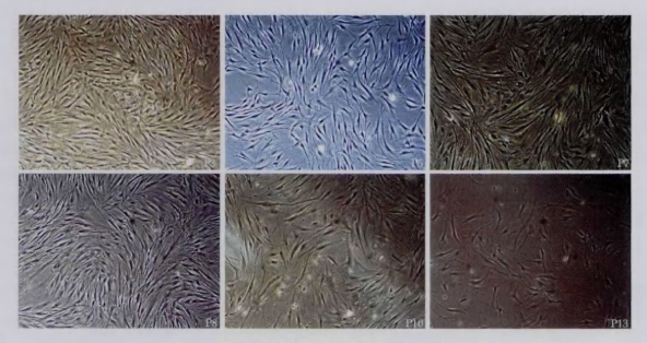 1669864558110373.png 微信圖片_20221126111203.png