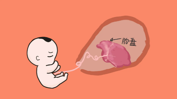 1669864673553994.png 1669603875864.png