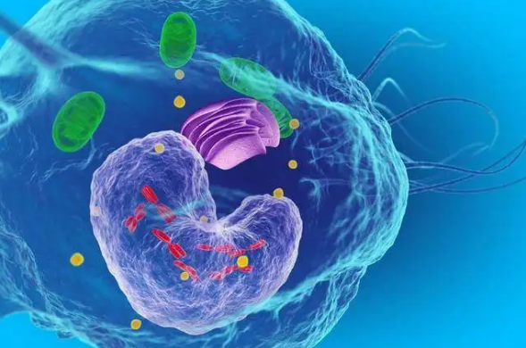 1671678216375288.png 1671439220834.png