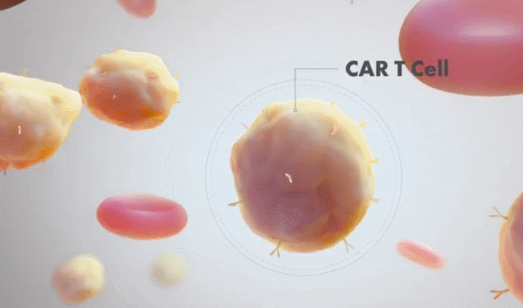 1671678323205232.gif 微信圖片_20221219141652.gif