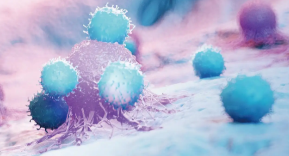 1671678504571175.png 1671434354111.png