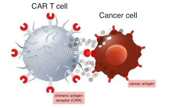 1671678588566069.png 1671434328963.png