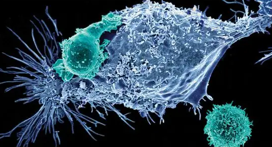 1671678676401140.png 1671434381591.png