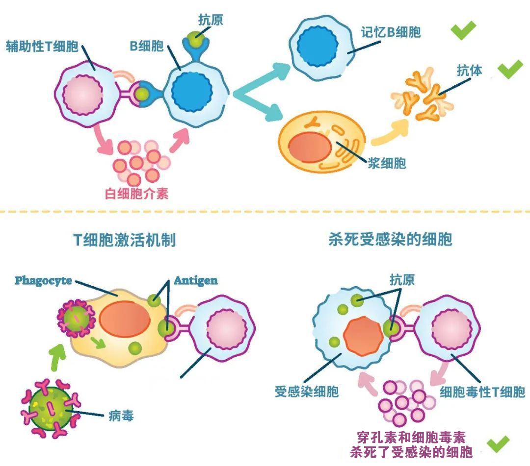 1671679216165359.png 5473f3be95c3d4c0e7e730cdb5ddc5be.png