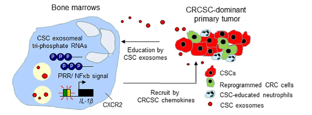 1673056811870221.png 圖片11.png