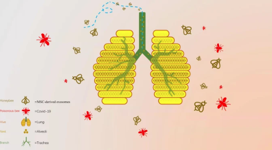 1673056962377161.png 微信圖片_20230104155120.png