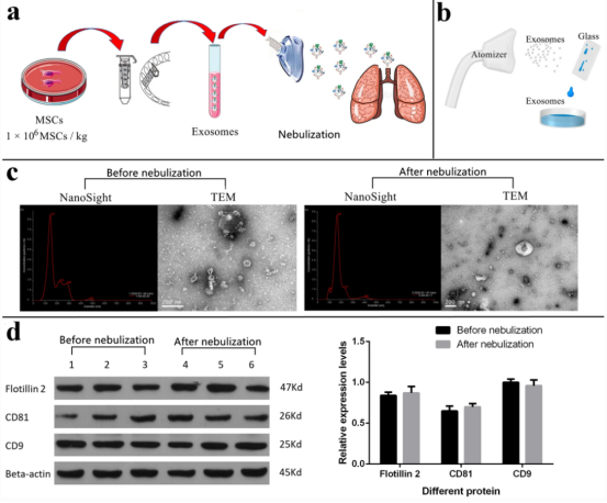 1673057018242630.png 微信圖片_20230103171733.png