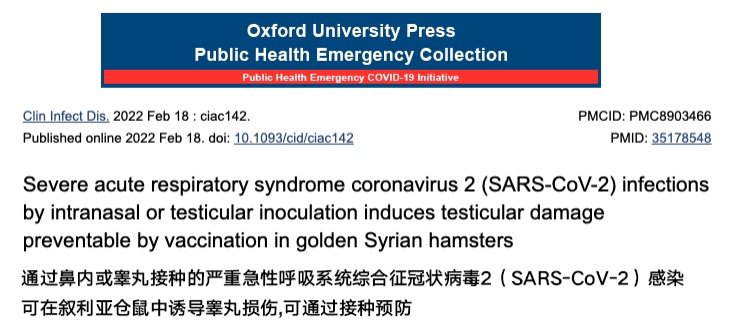 1673058223125911.png 圖片12.png