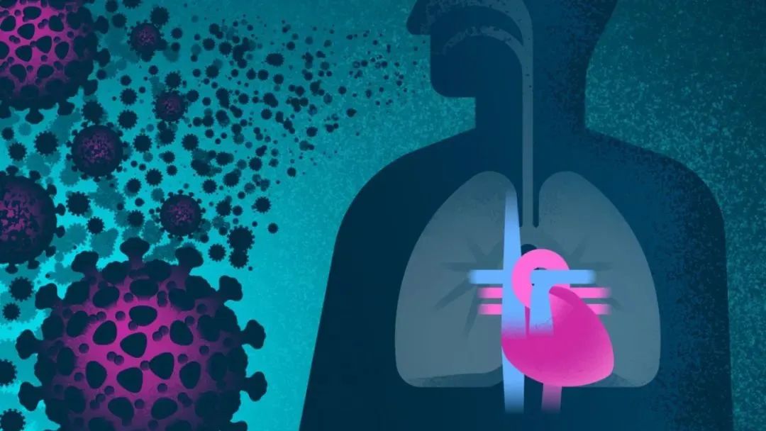 1673058484257839.jpg 640.jpg