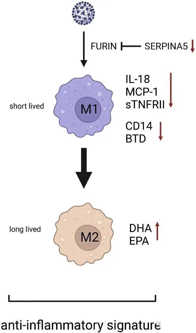 1675916906208810.jpg 下載 (4).jpg