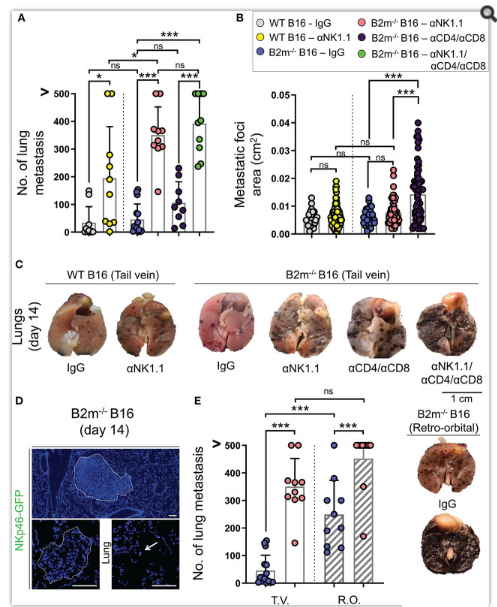 1676611036121422.png 微信圖片_20230206150329.png