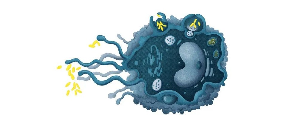 1676948227162835.jpg 微信圖片_20230217112512.jpg