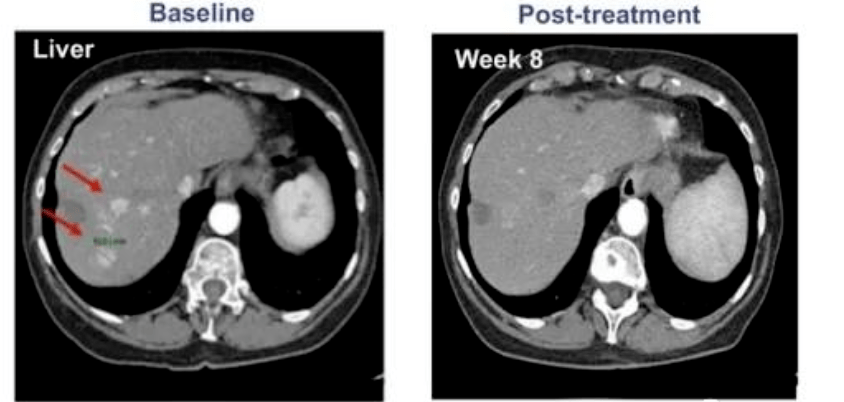 1679641943787857.png 238b83e89fbe442ca79f3f5d5153edde.png