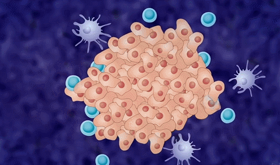 1682058220109695.gif 微信圖片_20230419113232.gif