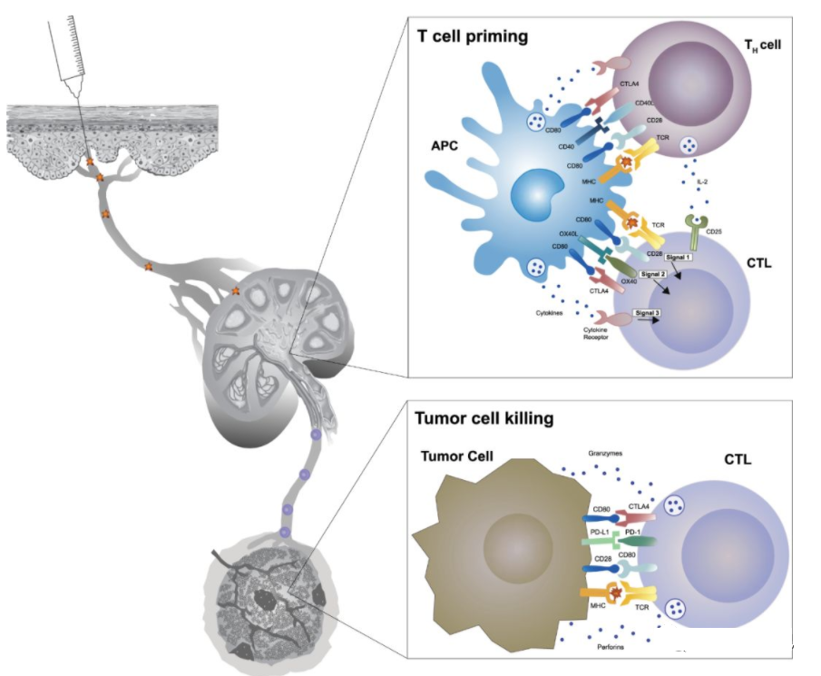 1683169034199423.png 微信圖片_20230427192342.png