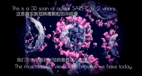 1684480447210707.gif 微信圖片_20230517103500.gif