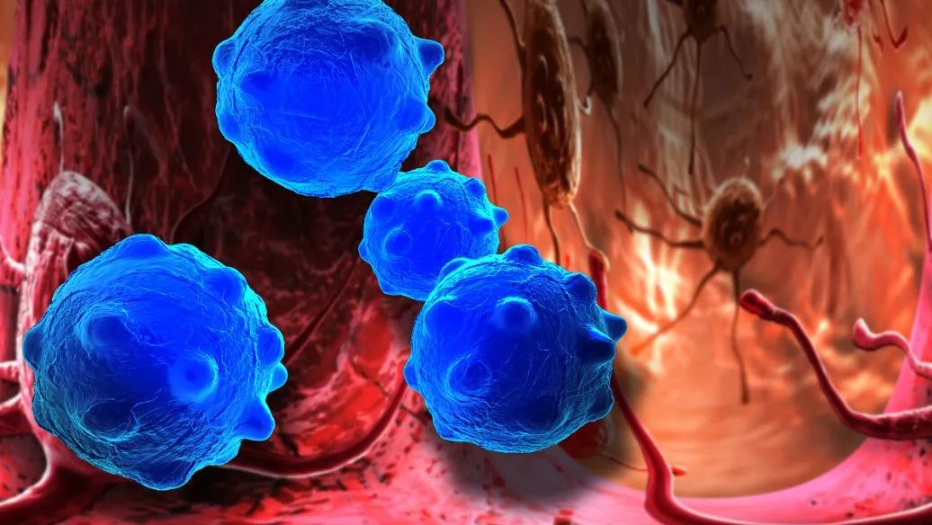 1684480855150444.jpg 640.jpg