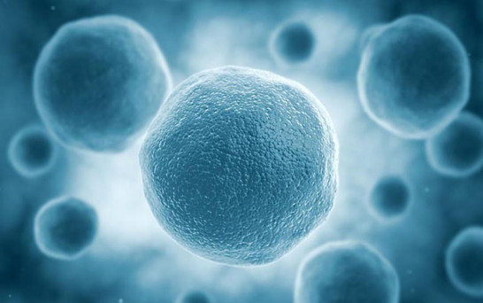 1684483989883229.jpg 微信圖片_20230517151418.jpg