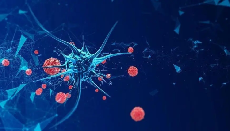 1687317811176963.png 1686815970679.png