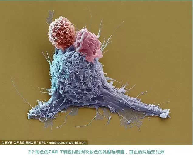 1687318381210226.jpg 微信圖片_20230615104132.jpg