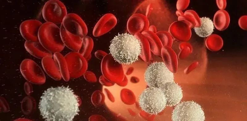 臍帶、胎盤來源的干細(xì)胞為什么不用配型?看完就都明白了