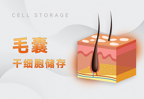 1687660470160365.jpg 1662521576314562.jpg