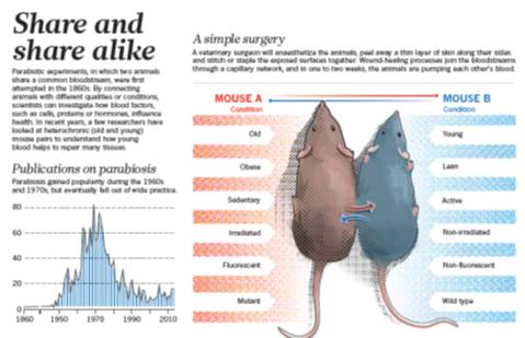 ChatGPT之父投資1.8億，全新生物技術(shù)或?qū)⑨绕?，欲讓人類增?0年