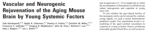 1688195175156090.jpg 640 (6).jpg