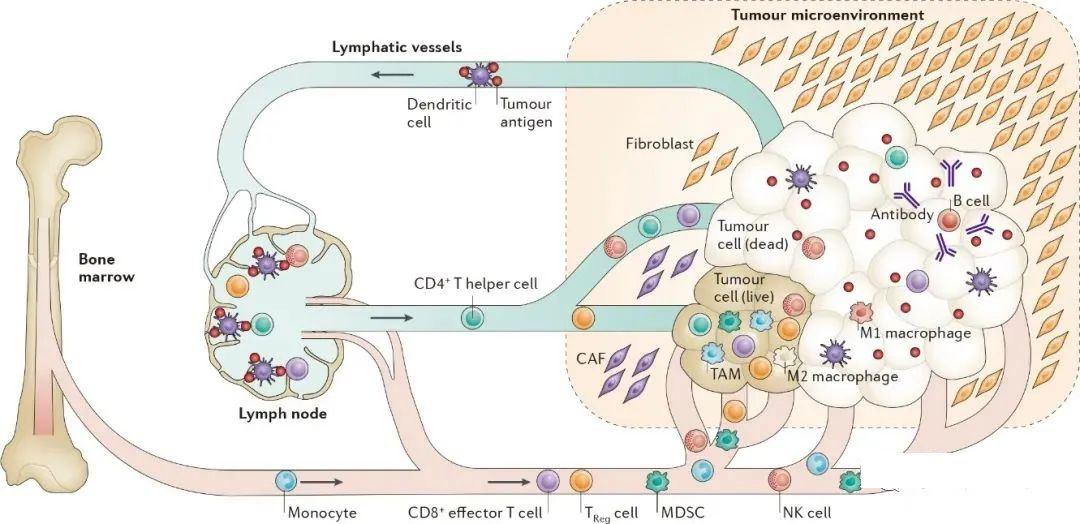 1690008989119434.png 640 (1).png