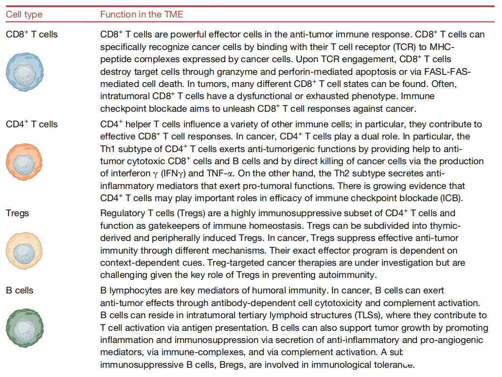 1690009009175433.png 640 (10).png